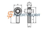 Terminal Rotular IKO POS 14 A