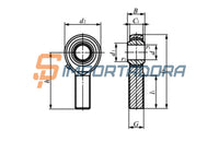 Terminal Rotular POS 16 A IKO GAKFR 16 PB